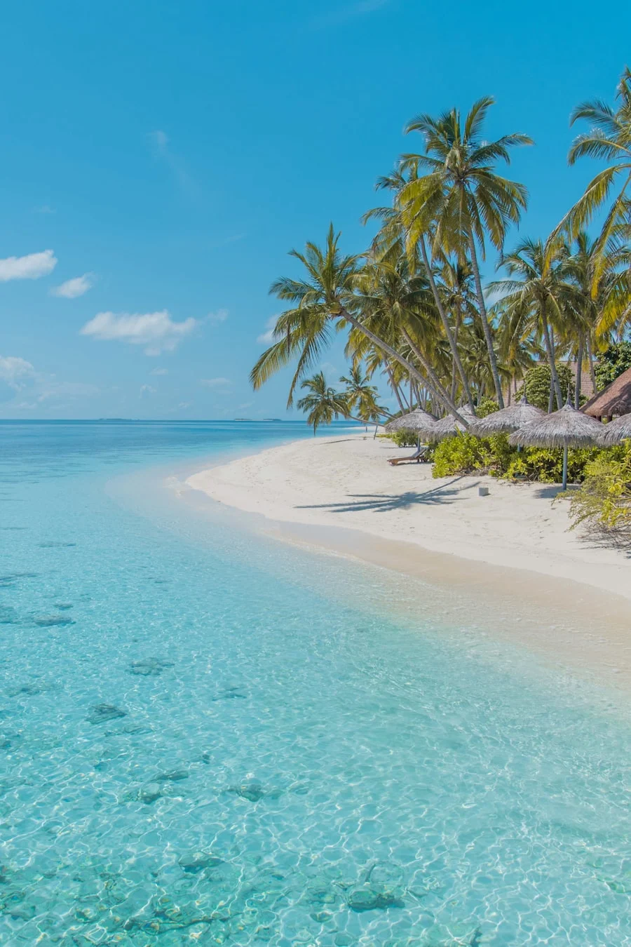 Aerial view of Havelock Island's Radhanagar Beach — Andaman tour package